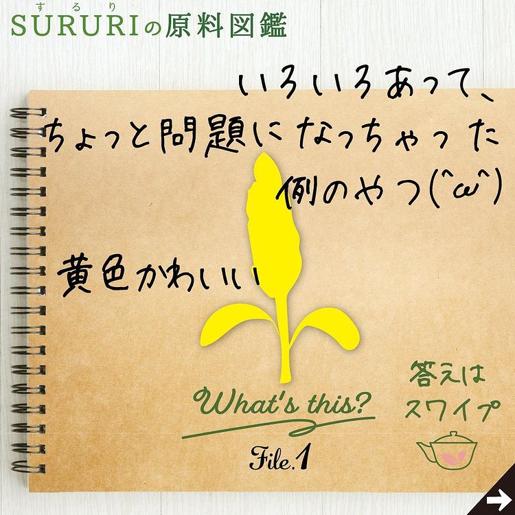 いろいろあって、ちょっと問題になっちゃた例のやつ？